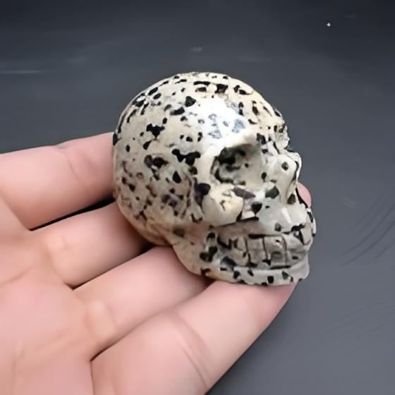 Dalmatian Jasper Skull